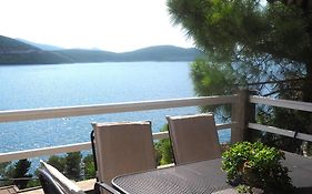 Apartmani Roko